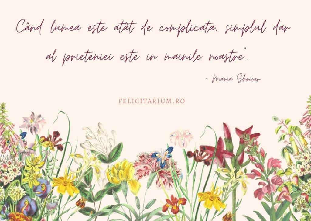citate despre prietenie si iubire