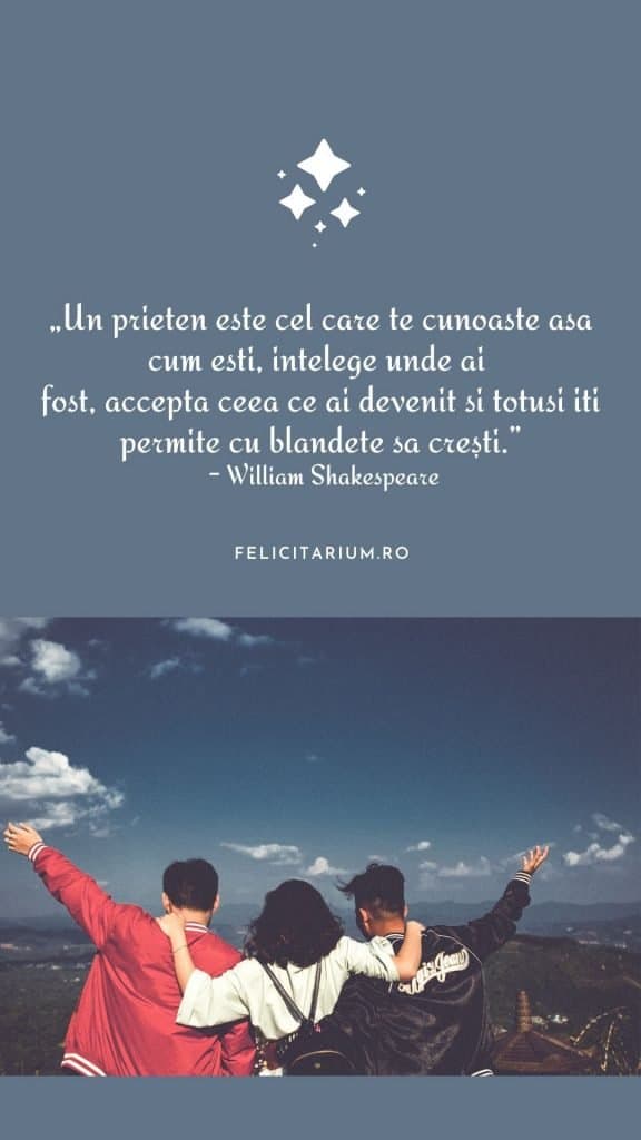 citate prietenie amuzante
