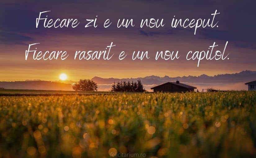 mesaje frumoase de buna dimineata