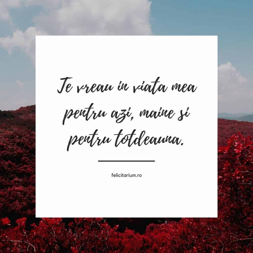 mesaje frumoase de dragoste