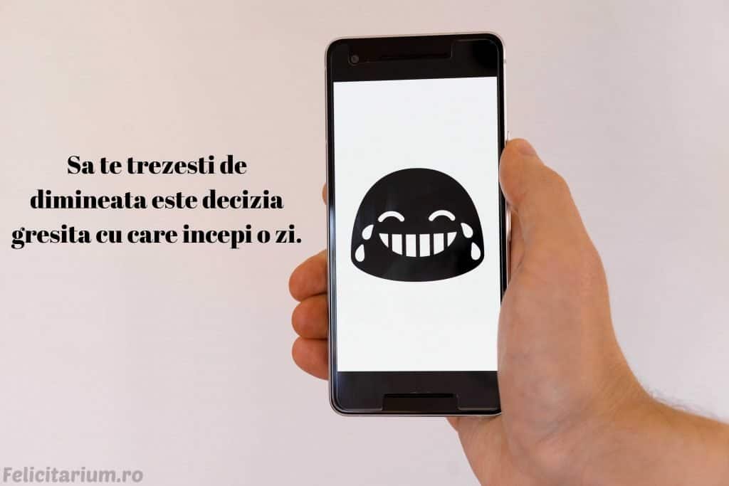 mesaje de buna dimineata haioase
