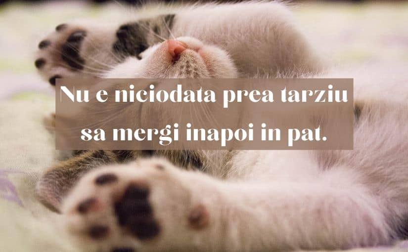 citate amuzante