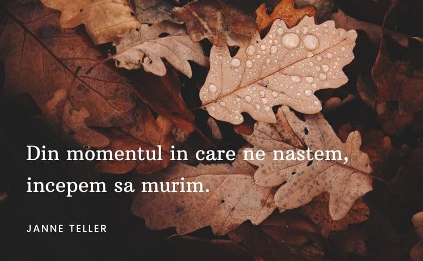 citate triste