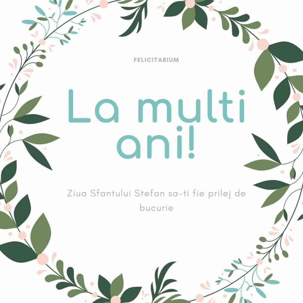 La multi ani Stefan