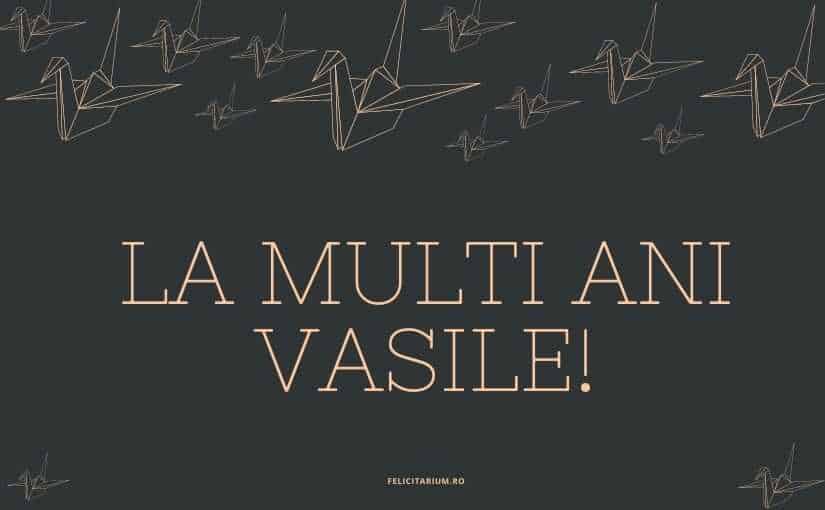 La multi ani Vasile
