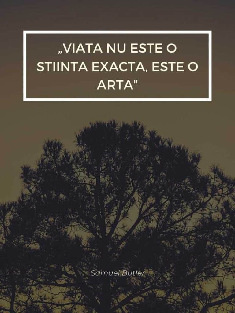 Citate Scurte despre viata